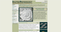 Desktop Screenshot of digimorph.org