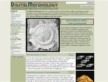 Tablet Screenshot of digimorph.org